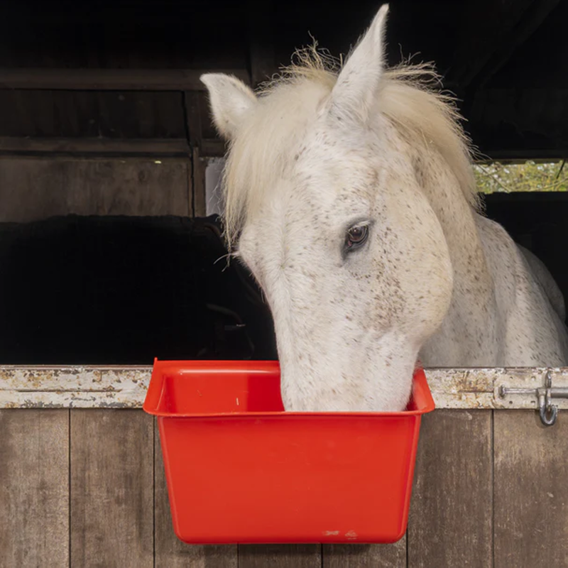 Red Gorilla Hanging Manger-1